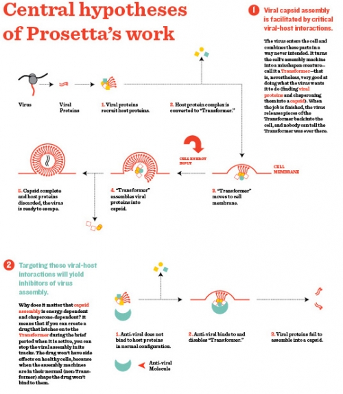 chart showing the central hypotheses of Prosetta's work